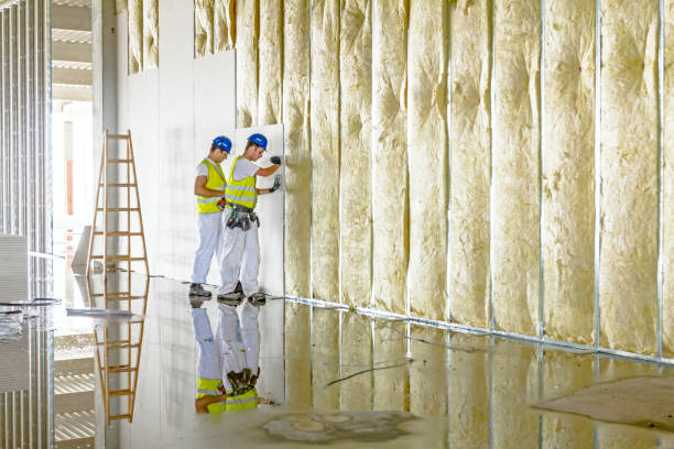Best Crawl Space Insulation  in Morgantown, KY